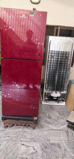 Electrolux medium size fridge