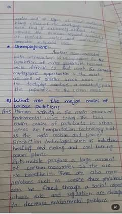 Assignment Writting