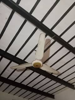 Ceiling fan