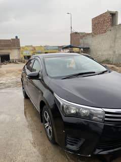 COROLLA XLI 2016