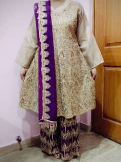 Ladies Organza suit for sale
