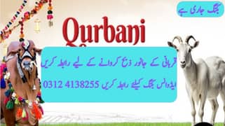 Qasai for Qurbani / Qasai / Qasai Available for Qurbani / Book a Qasai