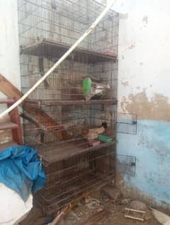 1 year use good condition master cage