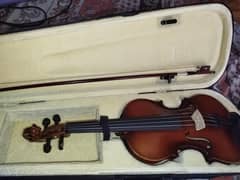 violin