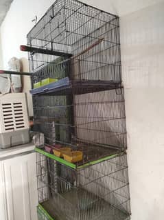 Cage