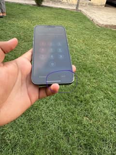 Iphone 13 pro max 128gb/ 80BH sierra blue, with box