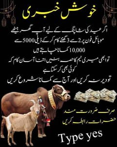 عیدالاضحی آرہی ہے کمائے خود کے لیے اور فیملی کے لیے