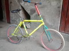 wallaer
