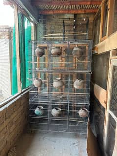 birds Master cage for sale