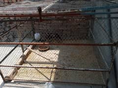 Big Cage for animal or birds for sale