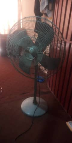 pdistal fan