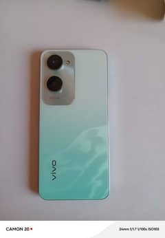 vivo