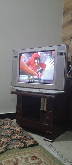 Sony Vega  21" TV in Excellent working condition