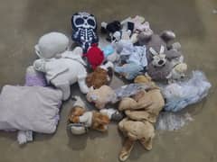 Teddy