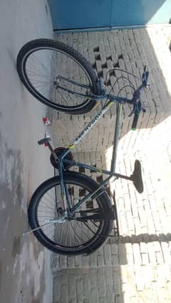 Roman bicycle.