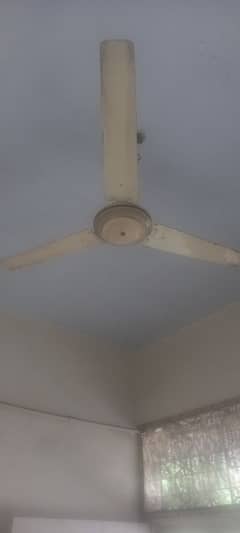 celing