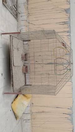 Two parrot cage