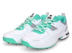 DSC cricket spikes