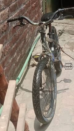 use bicycle #03219415817