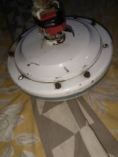 03054790325