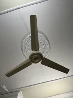 Ceiling fan