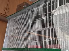 cage / bird cage / 8 portions cage / cage for sale