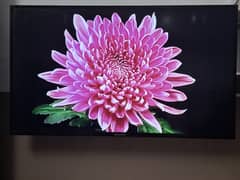 49'' smart LED, great sound, big clear screen for amazing result.