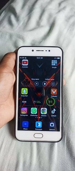 vivo