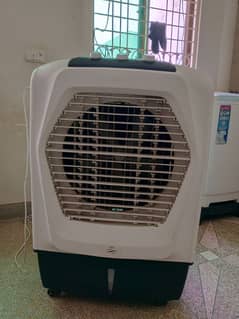 urgent sale Royal cooler just one month use available 03016575297