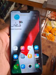 vivo