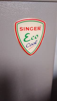company name: singer eco cool