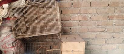 parrat pinjry 2 adad