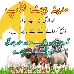 Qasai | Qasab | Butcher, Janwaroon ki Katai ke liye rabta karain