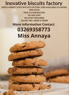 needs urgent staff innovative biscuits packing factory job  in lahore