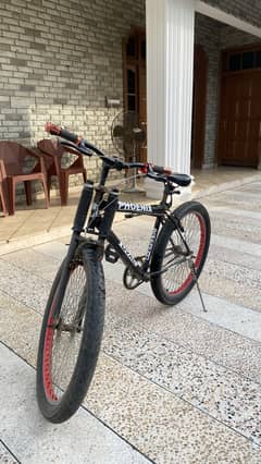 Phoenix cycle