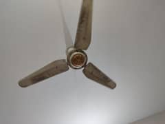 Lahore Fan