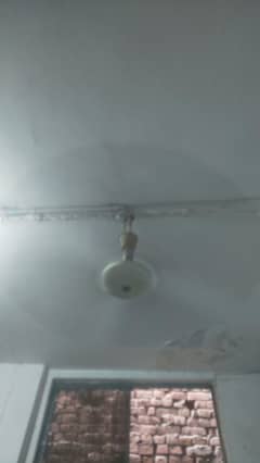 1 ceiling fans with 48” wings Citizen Company