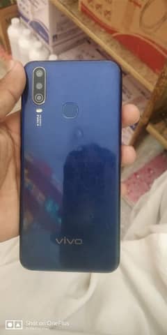 Vivo