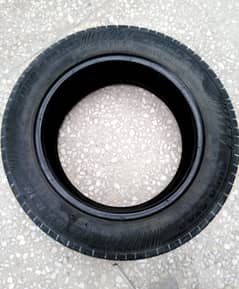 Honda City Tyres 175/65/R15