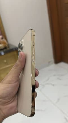 Iphone 12pro max Gold Dual physical