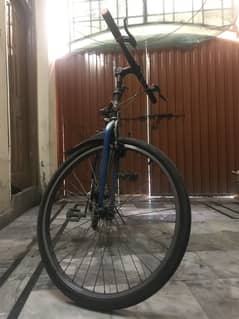 Giant bicycle