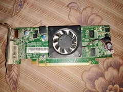 AMD