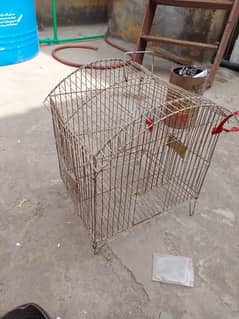 Bird cage with inner sitters for bird eggs