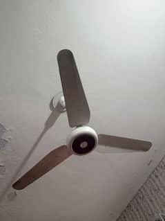 lahore