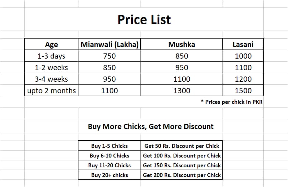 Aseel Chicks & Pathay of Mianwali, Mushka & Lasani, Fertile Eggs 2