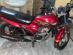 Yamaha ybr 125z dx Red colour
