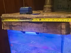 aquarium