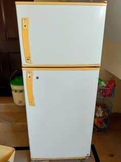 Fridge