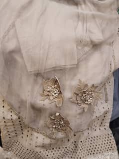 lawn cotton eid dress