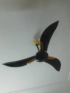 2 pak fan pride model